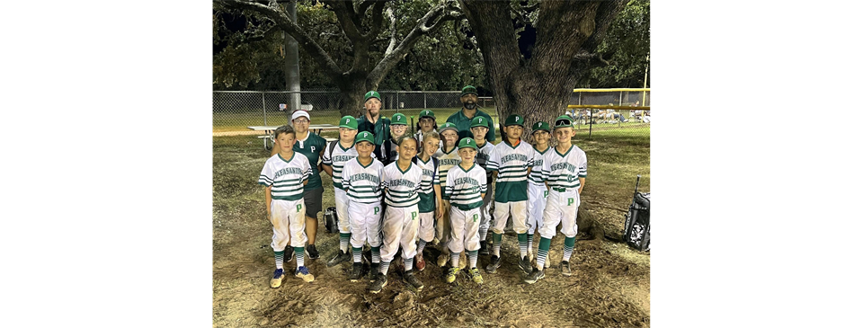 8-10 Baseball All stars 2023